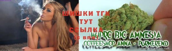 PSILOCYBIN Зеленодольск