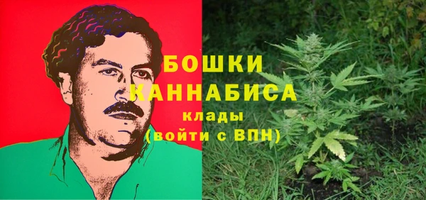 стафф Лысьва