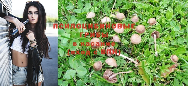 MESCALINE Зеленокумск